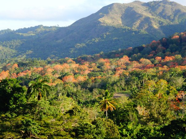 Dominican Republic cheap land